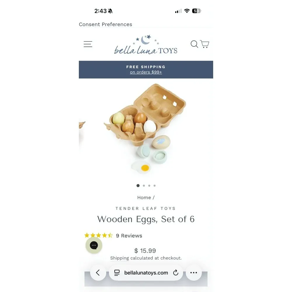 Tender Leaf Wooden Toy Eggs and Carton